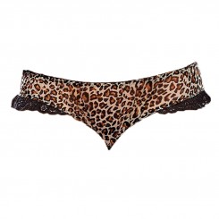 شورت پلنگی پشت قلبی